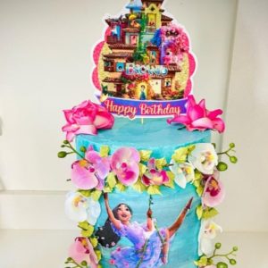 Encanto themed