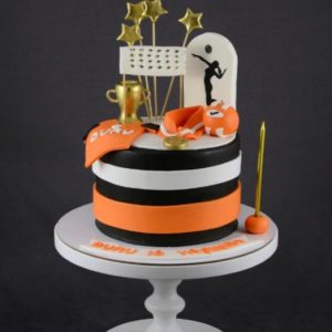 Volleyball Themed Cake